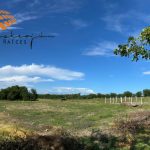 Terreno de 200m2 en Tehuixtla,Jojutla, Morelos a bordo de carretera.